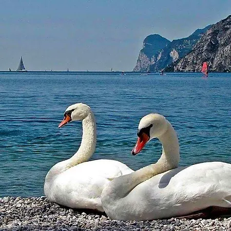 Hotel Anna Malcesine